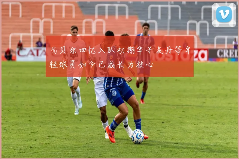 戈贝尔回忆入队初期华子麦丹等年轻球员如今已成长为核心